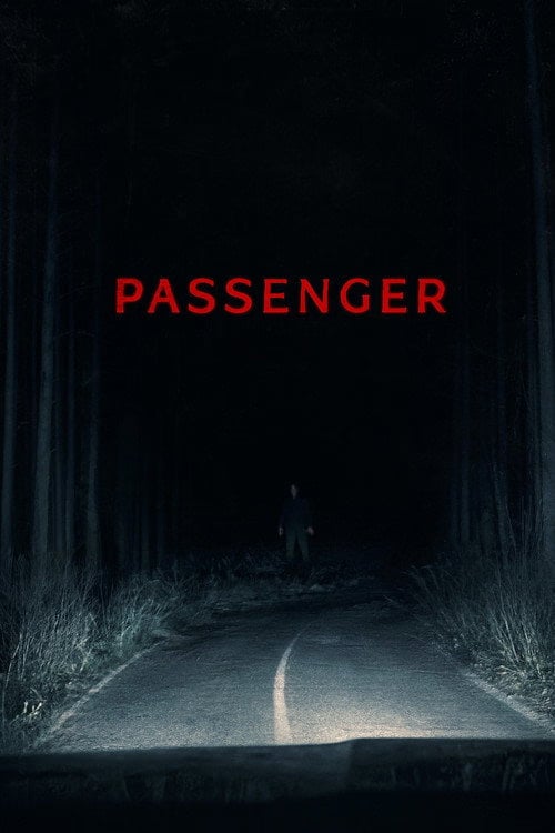 Movie poster for Passenger
