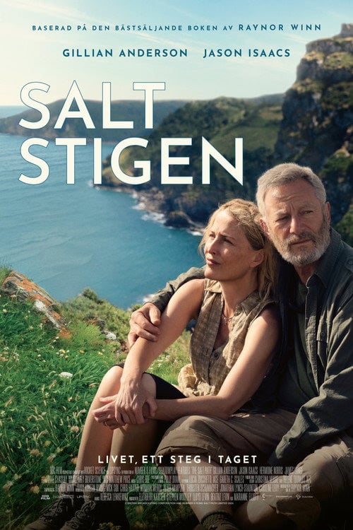 Filmaffisch for Saltstigen