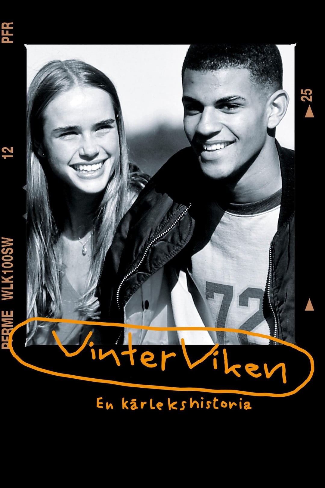 Movie poster for Vinterviken
