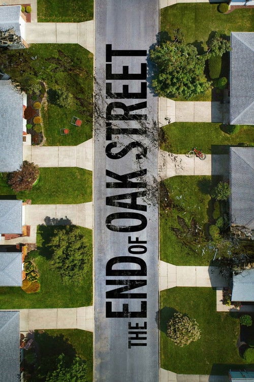 Movie poster for The End of Oak Street