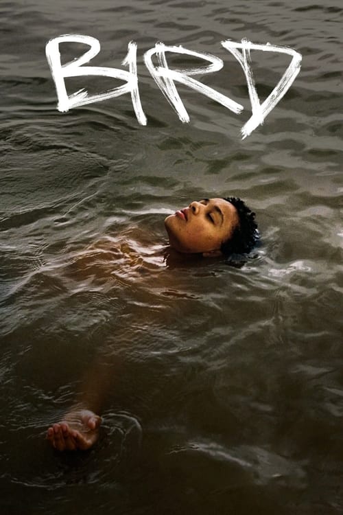 Movie poster for Bird